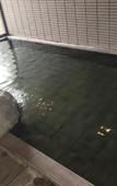 Туры в отель Kurobe Sun Valley Hotel Туры в отель Kurobe Sun Valley Hotel
