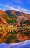 Туры в отель Kurobe Sun Valley Hotel Туры в отель Kurobe Sun Valley Hotel