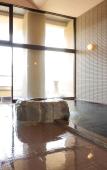 Туры в отель Kurobe Sun Valley Hotel Туры в отель Kurobe Sun Valley Hotel