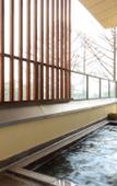 Туры в отель Kurobe Sun Valley Hotel Туры в отель Kurobe Sun Valley Hotel