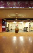 Туры в отель Kurobe Sun Valley Hotel Туры в отель Kurobe Sun Valley Hotel