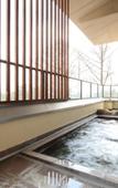 Туры в отель Kurobe Sun Valley Hotel Туры в отель Kurobe Sun Valley Hotel