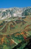 Туры в отель Kurobe Sun Valley Hotel Туры в отель Kurobe Sun Valley Hotel