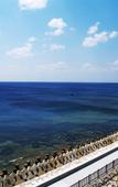 Туры в отель Lagoon Palace Туры в отель Lagoon Palace