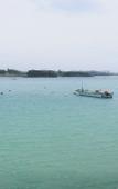 Туры в отель Lagoon Palace Туры в отель Lagoon Palace