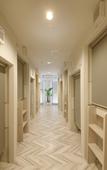 Туры в отель Lestel Maru - Hostel Туры в отель Lestel Maru - Hostel