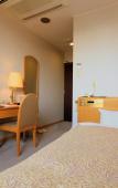 Туры в отель Hotel Symphony Туры в отель Hotel Symphony