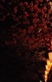 Туры в отель TORA HOTEL Taito A Туры в отель TORA HOTEL Taito A