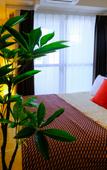 Туры в отель Kicon Hotels Fuchsia Туры в отель Kicon Hotels Fuchsia