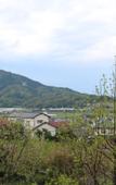 Туры в отель South Wind Chalet Туры в отель South Wind Chalet