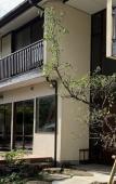 Туры в отель Asante inn - Hostel Туры в отель Asante inn - Hostel
