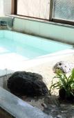 Туры в отель Asante inn - Hostel Туры в отель Asante inn - Hostel