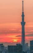 Туры в отель TORA HOTEL Sensoji SUNNY Туры в отель TORA HOTEL Sensoji SUNNY
