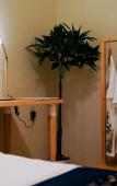 Туры в отель TOKYO E JOY INN - Nishishinjuku Туры в отель TOKYO E JOY INN - Nishishinjuku