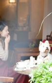 Туры в отель 7 Rooms Hotel & Cafe Туры в отель 7 Rooms Hotel & Cafe