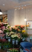 Туры в отель 7 Rooms Hotel & Cafe Туры в отель 7 Rooms Hotel & Cafe