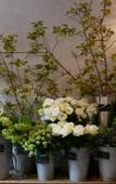 Туры в отель 7 Rooms Hotel & Cafe Туры в отель 7 Rooms Hotel & Cafe