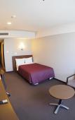 Туры в отель Castle Inn Toyokawa Туры в отель Castle Inn Toyokawa
