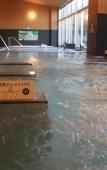 Туры в отель Castle Inn Toyokawa Туры в отель Castle Inn Toyokawa