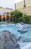 Туры в отель Castle Inn Toyokawa Туры в отель Castle Inn Toyokawa