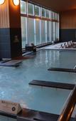 Туры в отель Castle Inn Toyokawa Туры в отель Castle Inn Toyokawa
