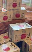 Туры в отель pokapokalandmiasa Туры в отель pokapokalandmiasa