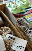 Туры в отель pokapokalandmiasa Туры в отель pokapokalandmiasa