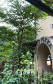 Туры в отель Hotel Sengokuhara533 Туры в отель Hotel Sengokuhara533