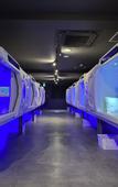 Туры в отель HOTEL GALAXY POD Туры в отель HOTEL GALAXY POD