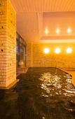 Туры в отель Ryokan Seishounagon Туры в отель Ryokan Seishounagon