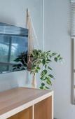 Туры в отель Mi-HOTEL OTSUKA Туры в отель Mi-HOTEL OTSUKA