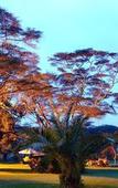 Туры в отель Muthu Lake Naivasha Country Club, Naivasha Туры в отель Muthu Lake Naivasha Country Club, Naivasha