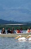 Туры в отель Great Rift Valley Lodge and Golf Resort Туры в отель Great Rift Valley Lodge and Golf Resort
