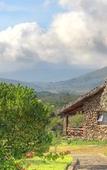 Туры в отель Naivasha Kongoni Lodge - Lakefront Getaway Туры в отель Naivasha Kongoni Lodge - Lakefront Getaway