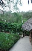 Туры в отель Osoita Lodge Туры в отель Osoita Lodge