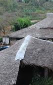 Туры в отель Osoita Lodge Туры в отель Osoita Lodge