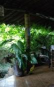 Туры в отель Osoita Lodge Туры в отель Osoita Lodge