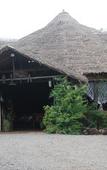 Туры в отель Osoita Lodge Туры в отель Osoita Lodge