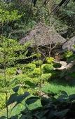 Туры в отель Osoita Lodge Туры в отель Osoita Lodge