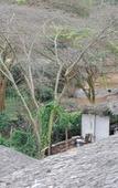 Туры в отель Osoita Lodge Туры в отель Osoita Lodge