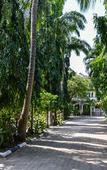 Туры в отель Greenwood Resort Туры в отель Greenwood Resort