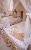 Туры в отель Chester Hotel Туры в отель Chester Hotel