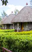 Туры в отель Dove Nest Lodge Туры в отель Dove Nest Lodge