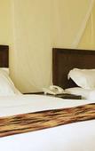 Туры в отель Sawela Lodge Туры в отель Sawela Lodge