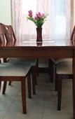 Туры в отель Sunset Paradise Holiday Homes Туры в отель Sunset Paradise Holiday Homes