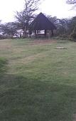 Туры в отель Sirville Lake Elementaita Lodge Туры в отель Sirville Lake Elementaita Lodge