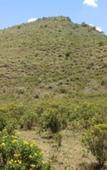 Туры в отель Sirville Lake Elementaita Lodge Туры в отель Sirville Lake Elementaita Lodge