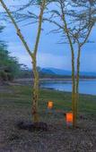 Туры в отель Sirville Lake Elementaita Lodge Туры в отель Sirville Lake Elementaita Lodge