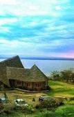 Туры в отель Sirville Lake Elementaita Lodge Туры в отель Sirville Lake Elementaita Lodge