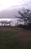 Туры в отель Sirville Lake Elementaita Lodge Туры в отель Sirville Lake Elementaita Lodge